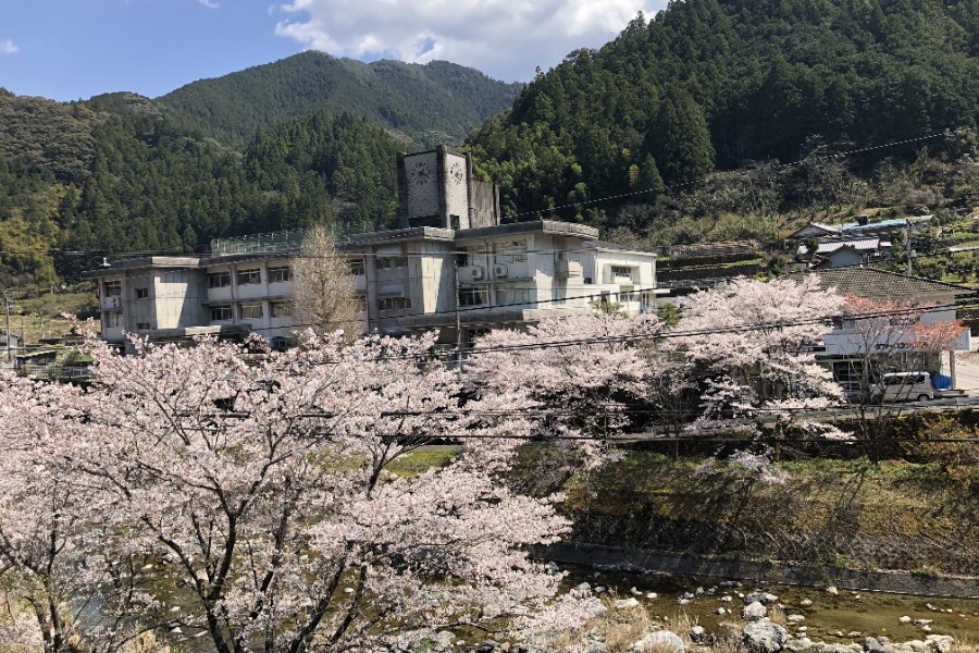 高知県立高知追手前高等学校吾北分校校舎春の風景