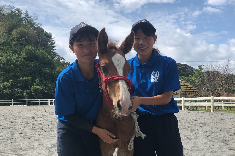 幡多農業高校馬術部