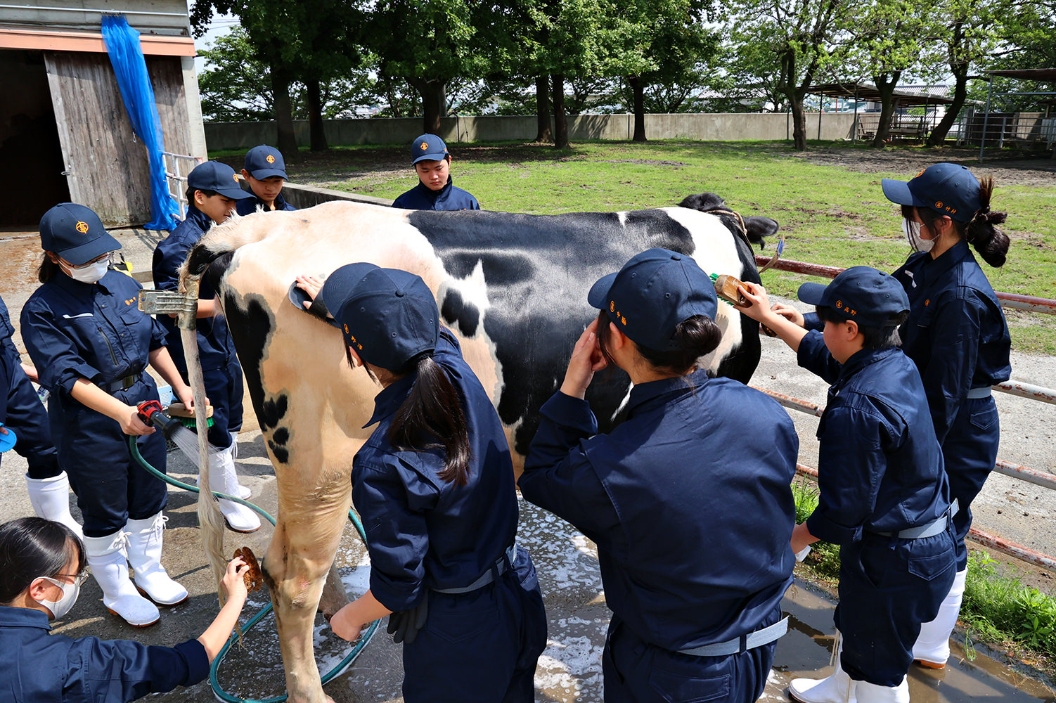 「こうち留学」を検討されている方へ