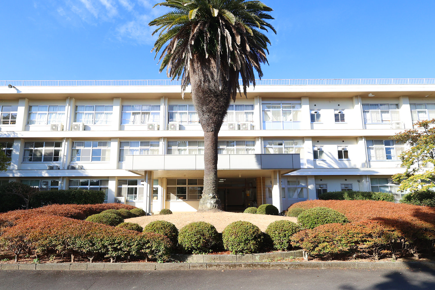 好きなことで夢への第一歩を『総合学科』